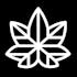 Logo for the brand The Root of It All
